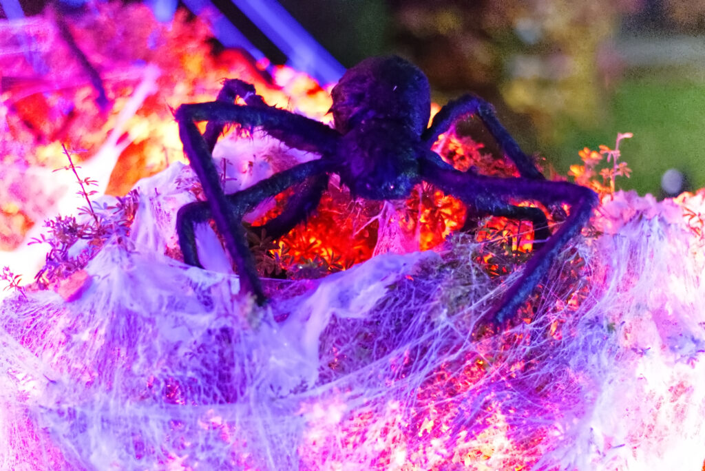 décoration d'araignée